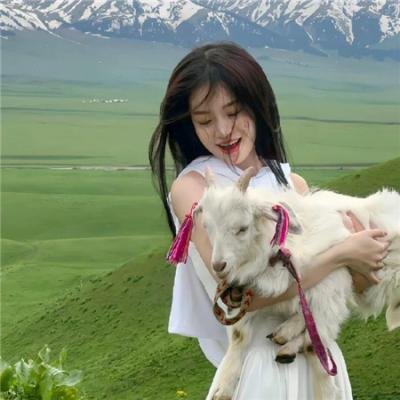 喜羊羊与灰太狼之守护